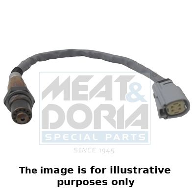 Oxygen Sensor